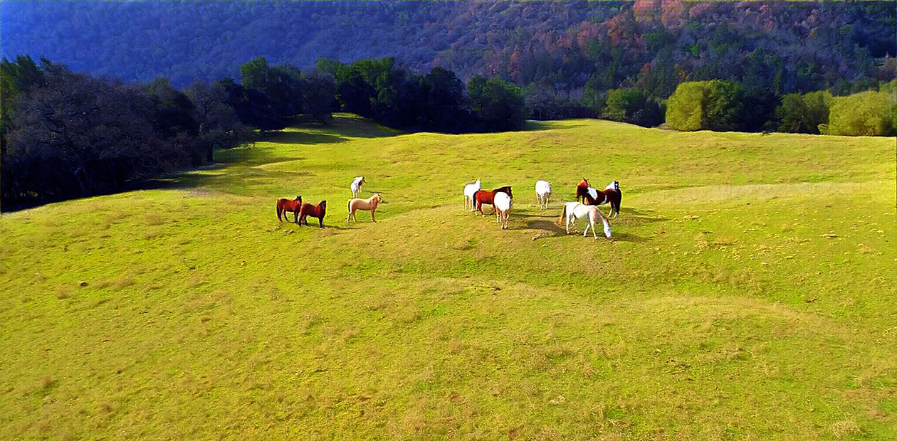 Scenic